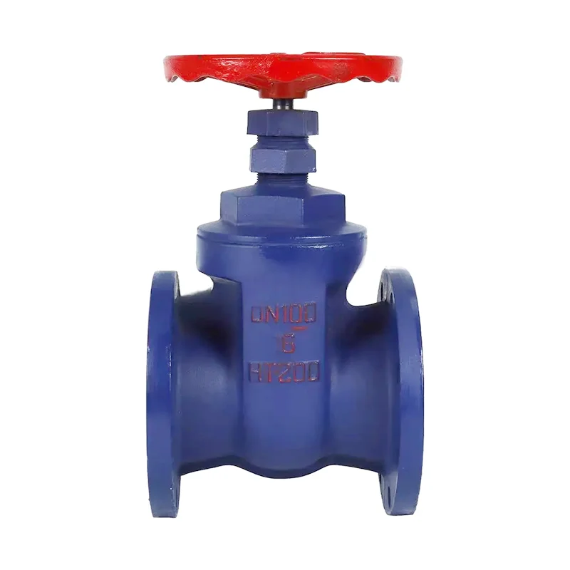 Kulîlkek bakurî ya Kopê Core Valve ya Deriyê ya Flange ya Iron